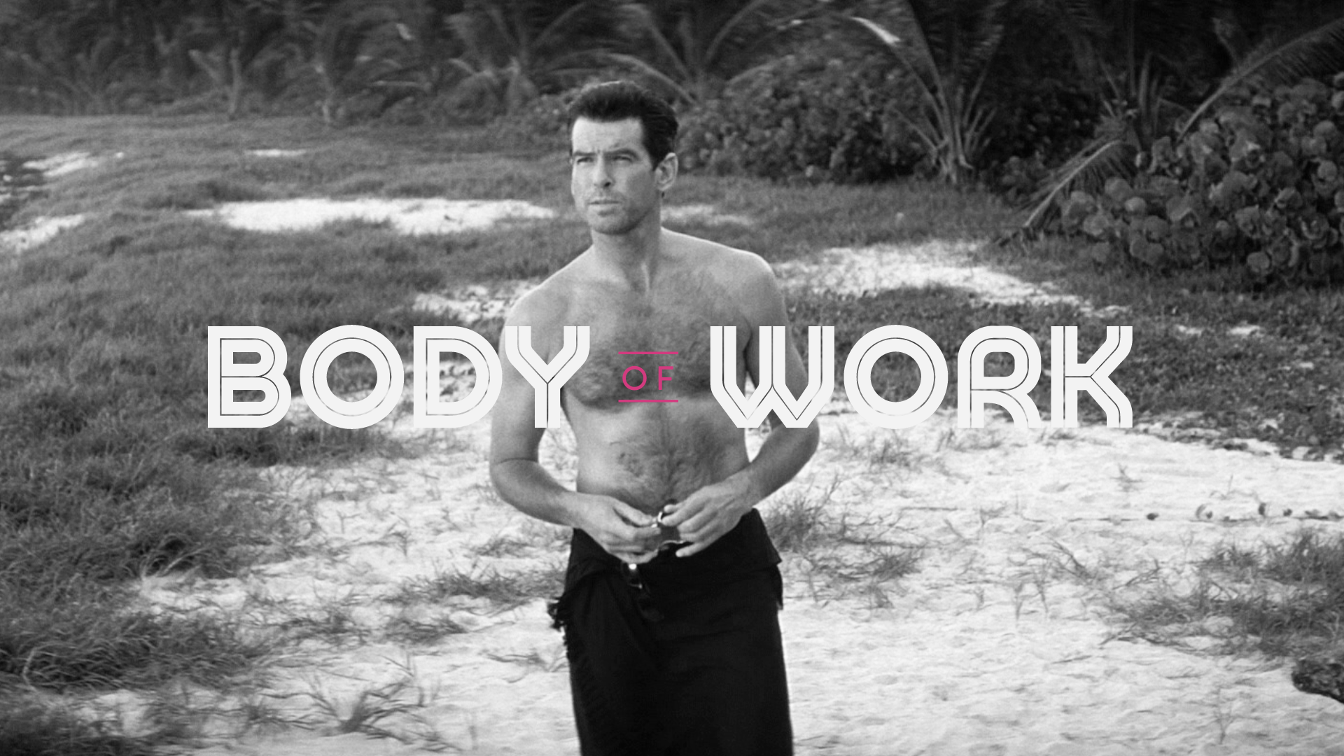 Body Of Work: Pierce Brosnan